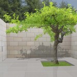 2000_patio-modern-tuin-solitair-dakboom